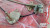 Window Regulator Rear Right Manual fits Alfa Romeo 164 60509534 Genuine View Left