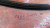 Weather Strip Seal Triangle fits Alfa Romeo 116 116005524601 Genuine View Rear