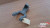 Gear Shifter Base fits Alfa Romeo Alfasud 510712 Genuine View Rear