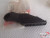 Door Air Vent Left fits Lancia Beta 82354522 Genuine View Rear