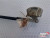 Door Lock Mechanism fits Alfa Romeo 105 105055 View Left