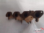 Exhaust Manifold fits Alfa Romeo Giulietta 60729156 116500170500 Genuine View Upper