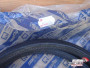 Front Door Seal Weatherstrip fits Fiat Seicento 46512323 Genuine View Right