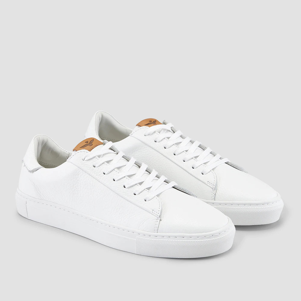 aquila shoe care