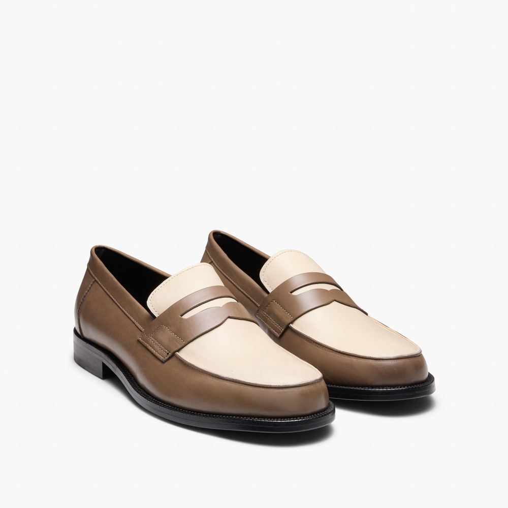 Dartmouth Ash Multi Loafers