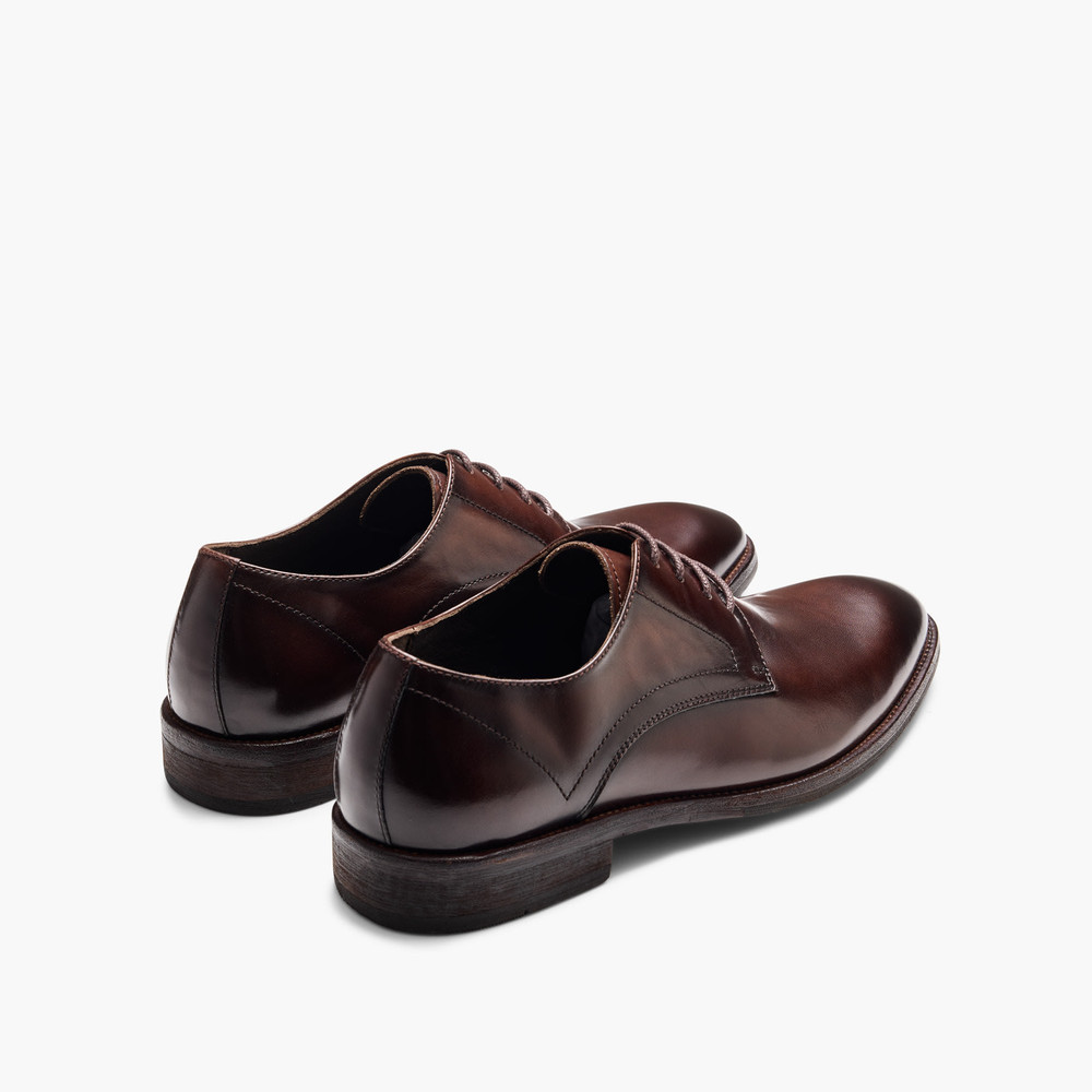 Daltrey Brown Derby Shoes