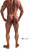The Quiet Night (Red) "Double Strap" (swim thong)