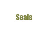 Seals 1996-1997 BW4407