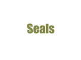 Seals 2007-2018 GM Magna Transfer Case