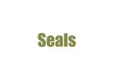 Seals, Seal Kits 1959-1966 Dana 24 Transfer Case