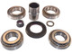 A560883 Master Rear Differential Bearing and Seal Kit Torque King 4x4