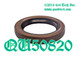 QU50820 NP205 TC INPUT SEAL, AM Torque King 4x4