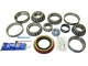 QU50695 Rear Diff Bearing & Seal Kit for 1988-1997 GM AAM 10.5" Rear Torque King 4x4