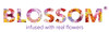 Blossom Beauty
