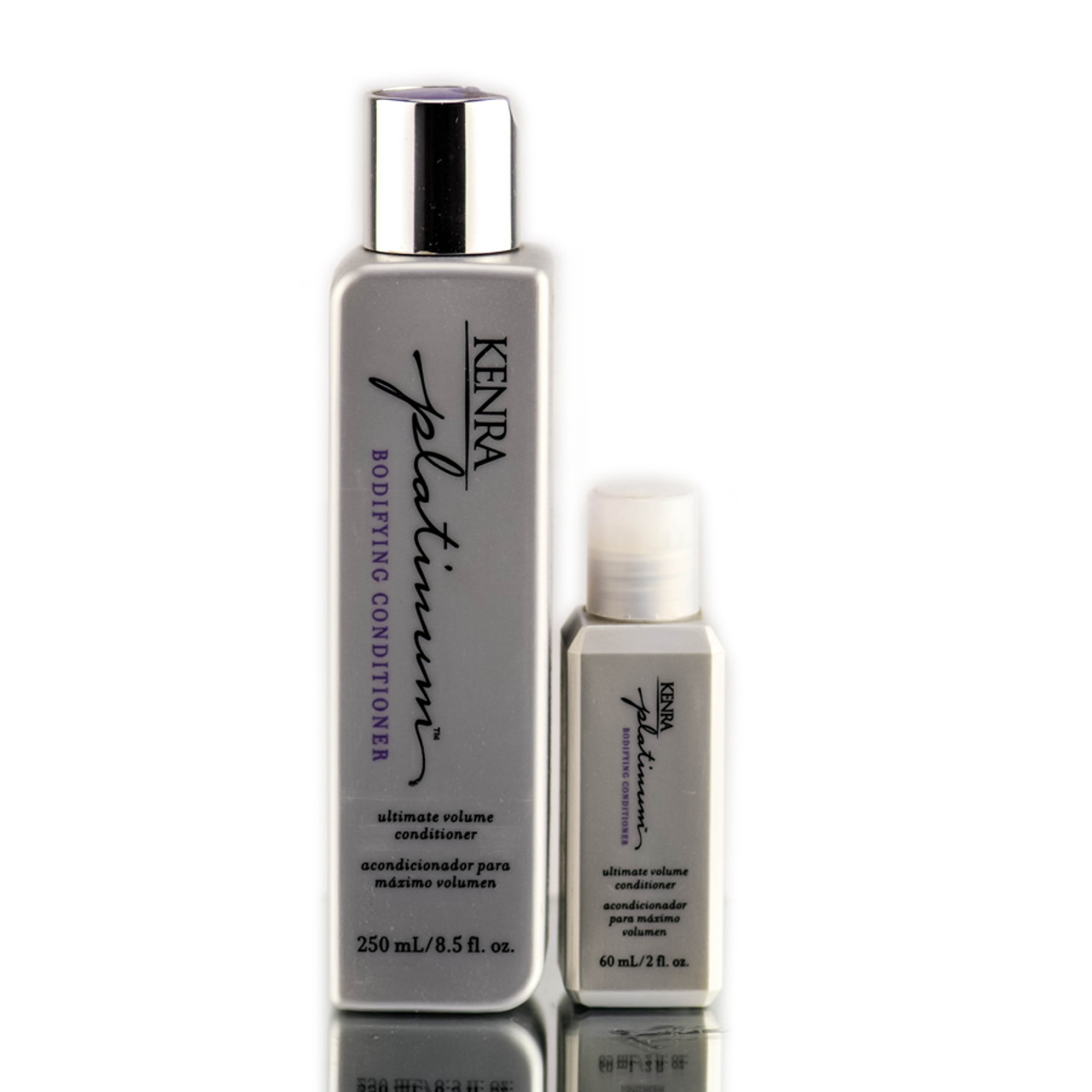 Kenra Volume Dry Shampoo Oil Absorbing Shampoo