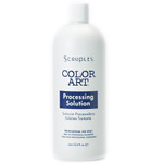 Scruples Color Art Conditioner Color Gloss - Processing Solution