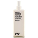 Evo Root Canal Base Support Spray-image1