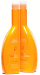 Back to Basics Coconut Mango Rich Moisture Shampoo-image1