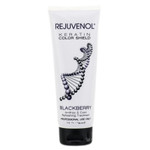Rejuvenol Keratin Color Shield Blackberry-image1