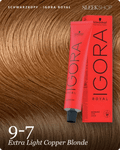 schwarzkopf-igora-royal-9-7-extra-light-copper-blonde-hair-color_9725-9-7-extra-light-copper-blonde