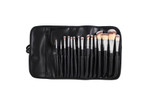 Morphe 15 pc Vegan Pro Set