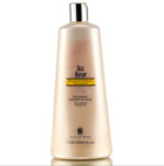 Graham Webb Silk Repair Advanced Therapy Treatment-image1