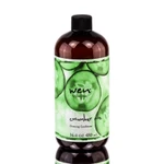 Wen Cleansing Conditioner - Cucumber Aloe