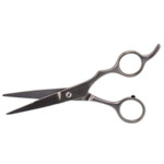 Tweezerman Professional Stainless 2000 Shears Scissors-image1