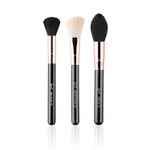 Sigma Blushing Babe Brush Set