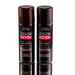 Cover Your Gray Color Cover Touch-Up Spray-image1