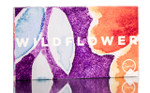Sigma Wildflower Eye & Cheek Palette-image2
