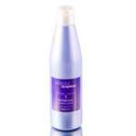 Salerm Cosmetics Absolut Straightener 1 Enhancer