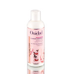 Ouidad Advanced Climate Control Defrizzing Conditioner-image1