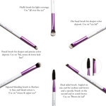 Vera Mona Instructional Eye Brush Kit
