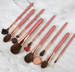 BH Cosmetics ItsMyRayeRaye Brush Set