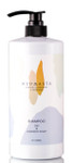 Mudmasta Oily & Dandruff Scalp Shampoo-image1
