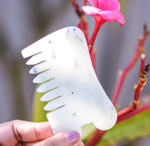 Biodara Tone Stone Jade Massager