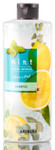Arimino Mint Frozen Refresh Citrus & Herb Shampoo