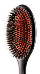 Denman Porcupine Style Grooming Brush-image1