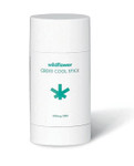Wildflower CBD + Cool Stick (300mg CBD)-image1