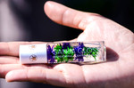 Ganja Gloss Roll-On Scented Lip Gloss
