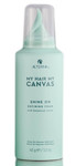 Alterna My Hair My Canvas Shine On Defining Foam