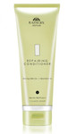 Raincry Repair Repairing Conditioner-image1