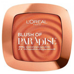 L'Oreal Paris Blush Of Paradise Powder