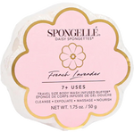 spongelle daisy spongette french lavender