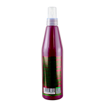 Salerm Pro Line 01 Brushing Spray Heat Styling Spray