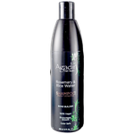 Agadir Rosemary & Rice Water Shampoo-image1