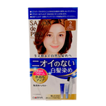 Dariya Salon De Pro Unscented Gray Hair Quick Color Cream