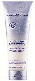 Sebastian Laminates Masque - Reconstructive Shine Treatment-image1
