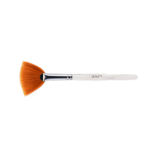 H2T Head to Toe Dermastage Aesthetic Fan Brush-image1